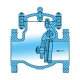 Swing Check Valve