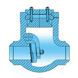 Pressure Seal Check Valve