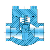 Forged Steel Check Valve