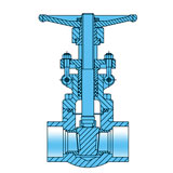 Forged Steel Gate valve