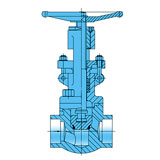 Forged Steel Globe valve